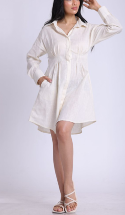 Long Sleeve French Linen shirt dress