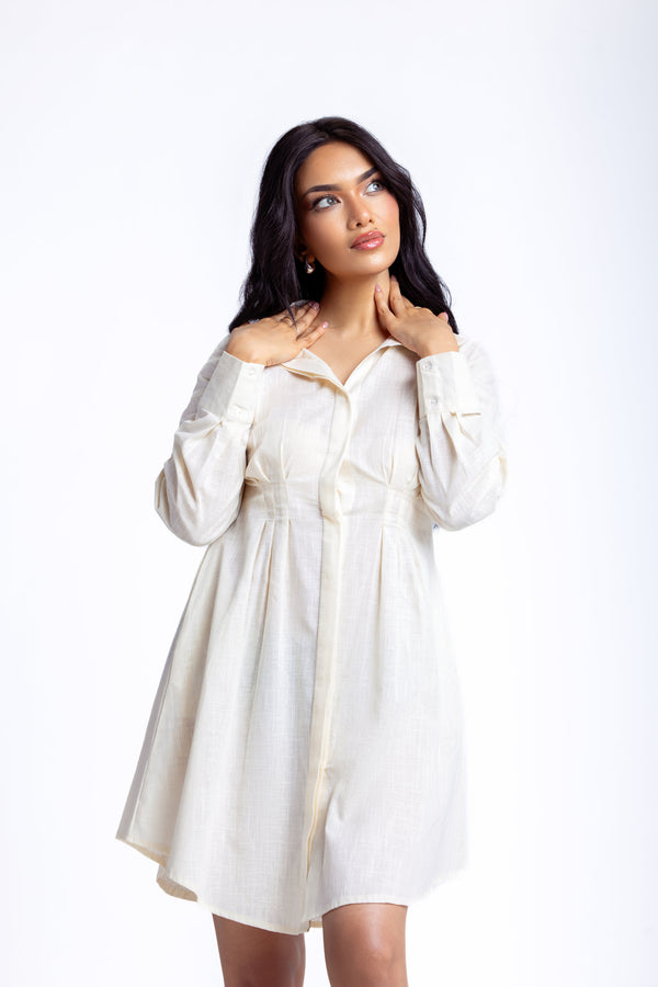 Long Sleeve French Linen shirt dress