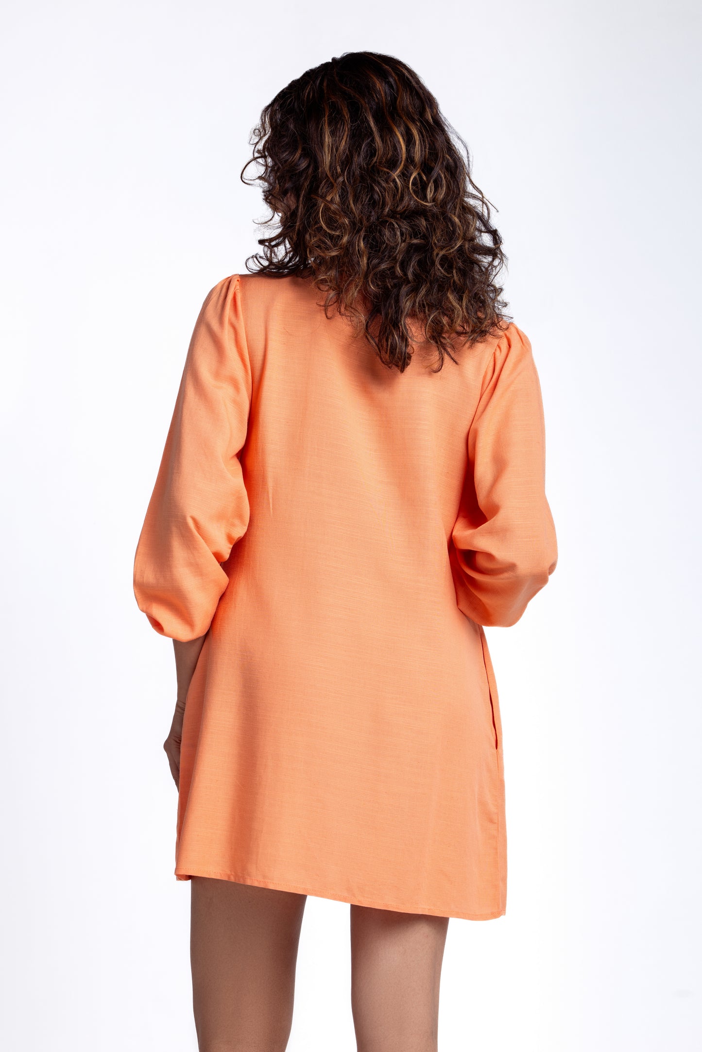 Ridley Long Sleeve Linen Mini Dress