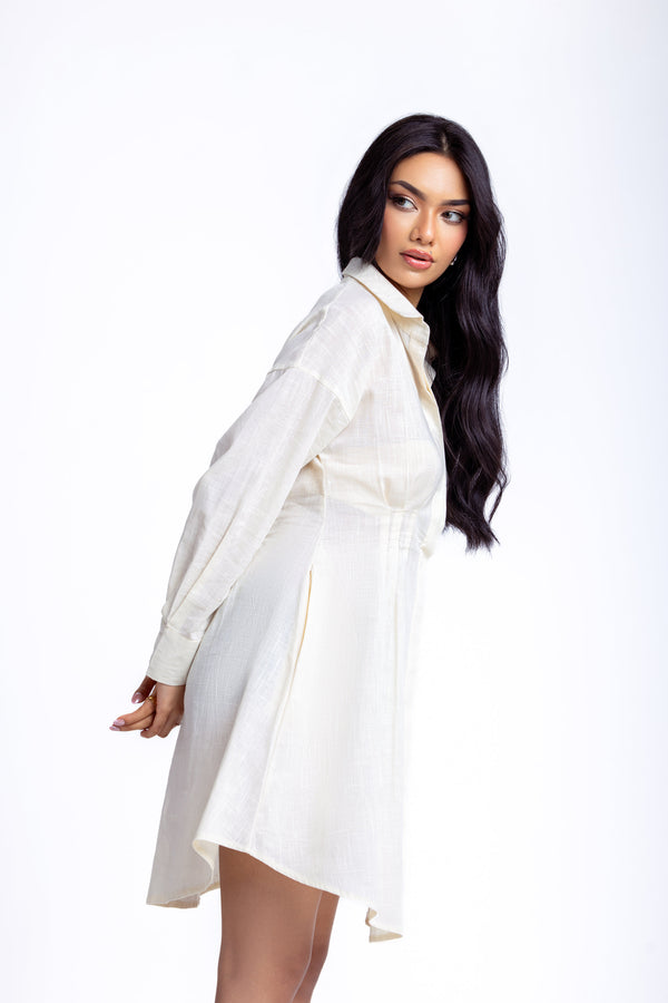 Long Sleeve French Linen shirt dress